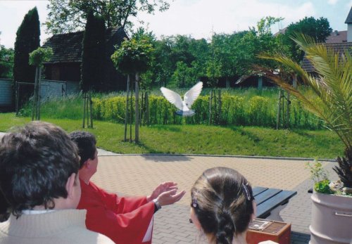 Třetí Svatodušní pouť - 23.5.2010